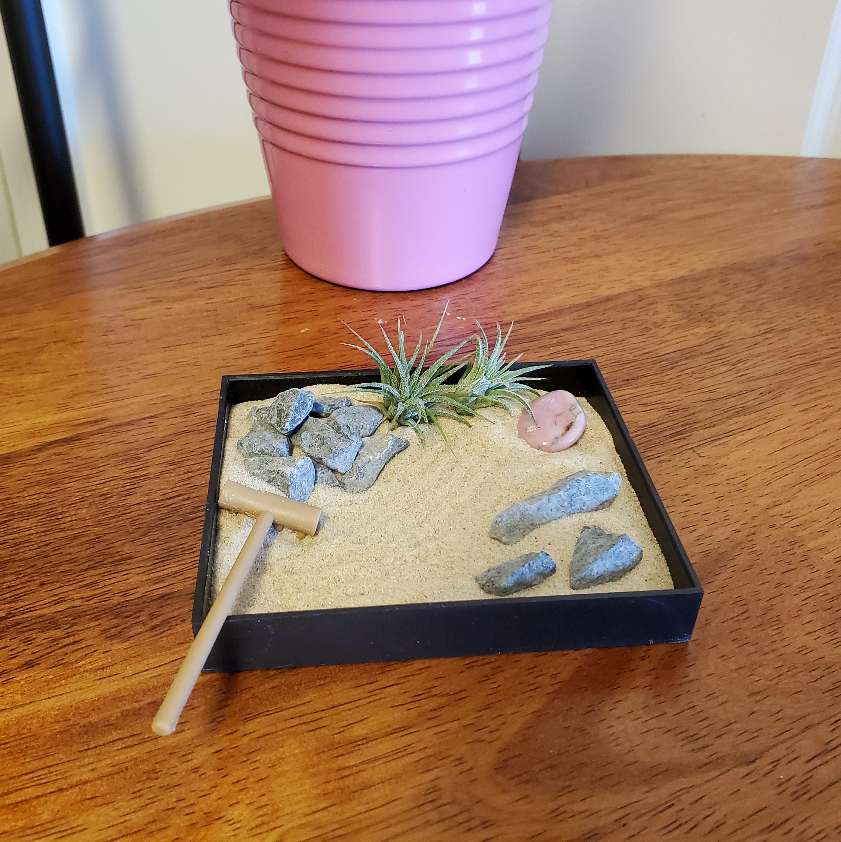 Create a Miniature Zen Garden Container